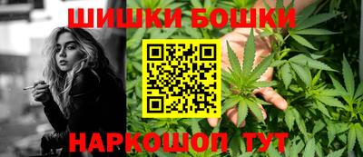 прущие крисы Дубна