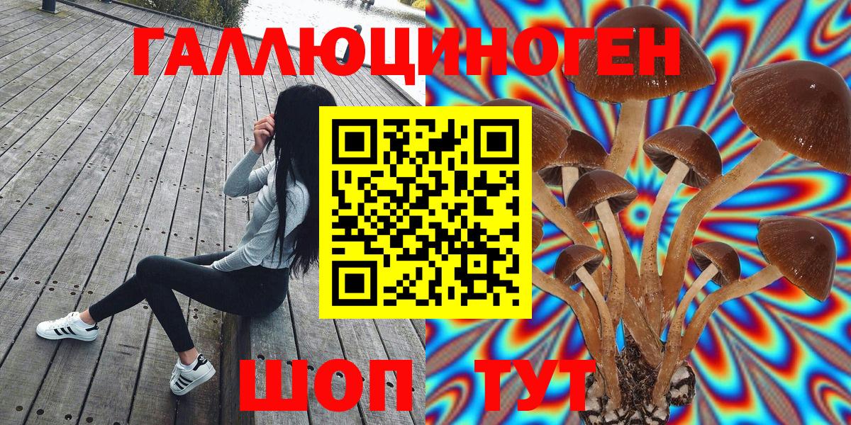Псилоцибиновые грибы прущие грибы  Вход с VPN  Галлюциногенные грибы MAGIC MUSHROOMS  Кириши 